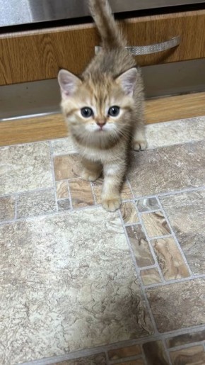 ������ ����, ������!. ��������� +18 ��