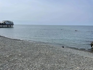 ������� �������������� ������ ������� ���������� ������������� ������ ������� ���������� ����