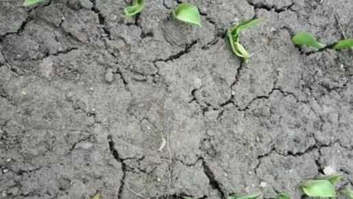 �������� ������: ��� ������� ���������� ��� ��� ������������ ���������