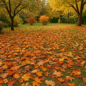 ������ ��������� ������ � ���� � ������ �������