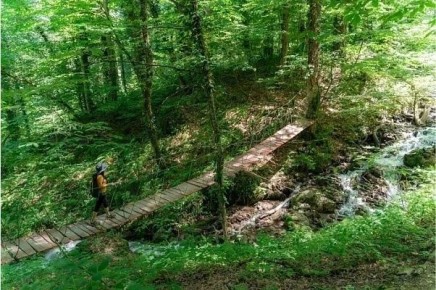 ������ ������� ���� 1 ��� ��������� ������ ���������� ��������