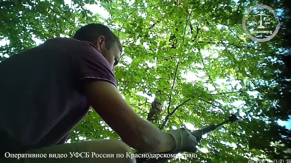 Хостинский районный суд в Сочи признал виновным Фёдора Германа в совершении нескольких преступлений, связанных с огнестрельным оружием