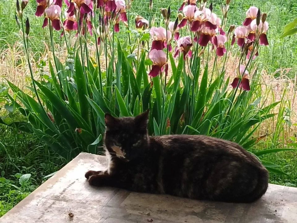 Доброе утро, Кубань!. Краснодар +21 °С
