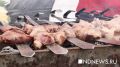 ��� ���������� � �������� ��� �� ���� � ���������� ���