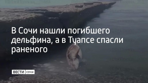 � ���� ����� ��������� ��������, � � ������ ������ ��������