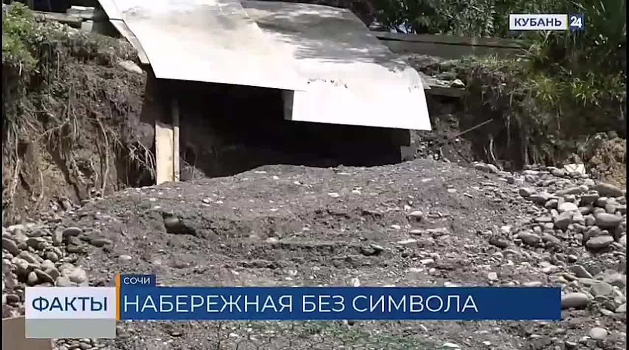 Куда исчезла мимоза с Приморской набережной в Сочи?