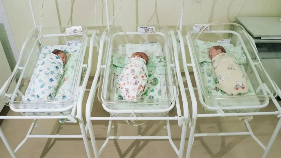 Тройню, рожденную в Перинатальном центре Сочи, готовят к выписке Тройню, рожденную в Перинатальном центре Сочи, готовят к выписке