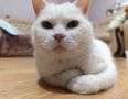 Доброе утро, Кубань!. Краснодар +24 °С