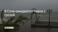 По данным синоптиков, со второй половины дня и до конца суток 25 мая, а также в течение суток 26 мая в Сочи и на федеральной территории Сириус ожидаются местами сильный дождь, ливни с грозой