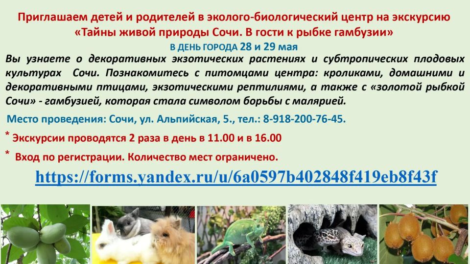 Приглашаем в День города на увлекательную экскурсию в эколого-биологический центр Сочи!