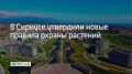 Совет федеральной территории утвердил документ, который регулирует обращение с деревьями, кустарниками и другой растительностью