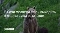 В Сочинском национальном парке с января по конец мая бурых медведей 150 раз замечали вблизи населенных пунктов и туристических зон