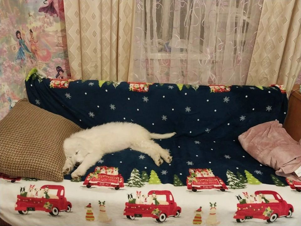 Доброе утро, Кубань!. Краснодар +18 °С Доброе утро, Кубань!. Краснодар +18 °С