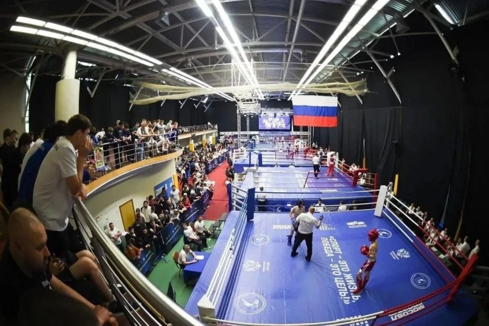 Четверо сочинских спортсменов стали призерами Первенства России по кикбоксингу