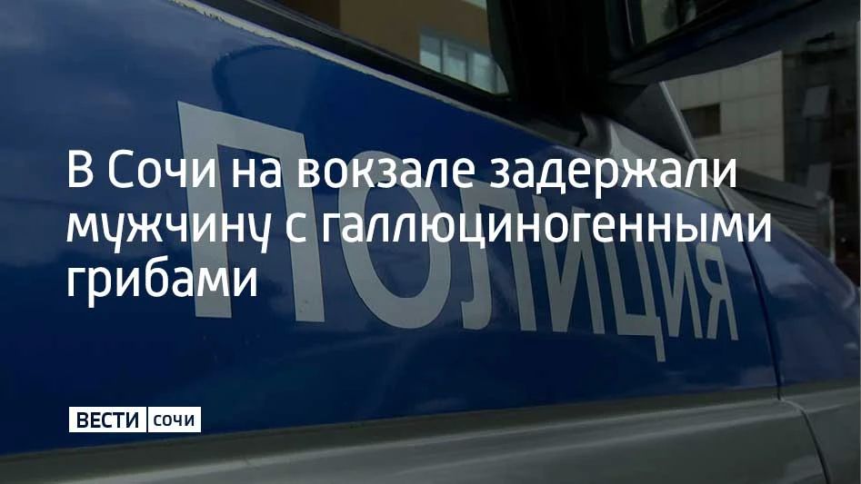 На входе в здание железнодорожного вокзала станции Адлер поймали 45-летнего жителя Сочи с признаками наркотического опьянения, в рюкзаке которого нашли пакет с высушенными грибами массой около 13 граммов