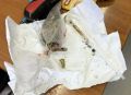 В Адлере сотрудники транспортной полиции задержали мужчину с галлюциногенными грибами