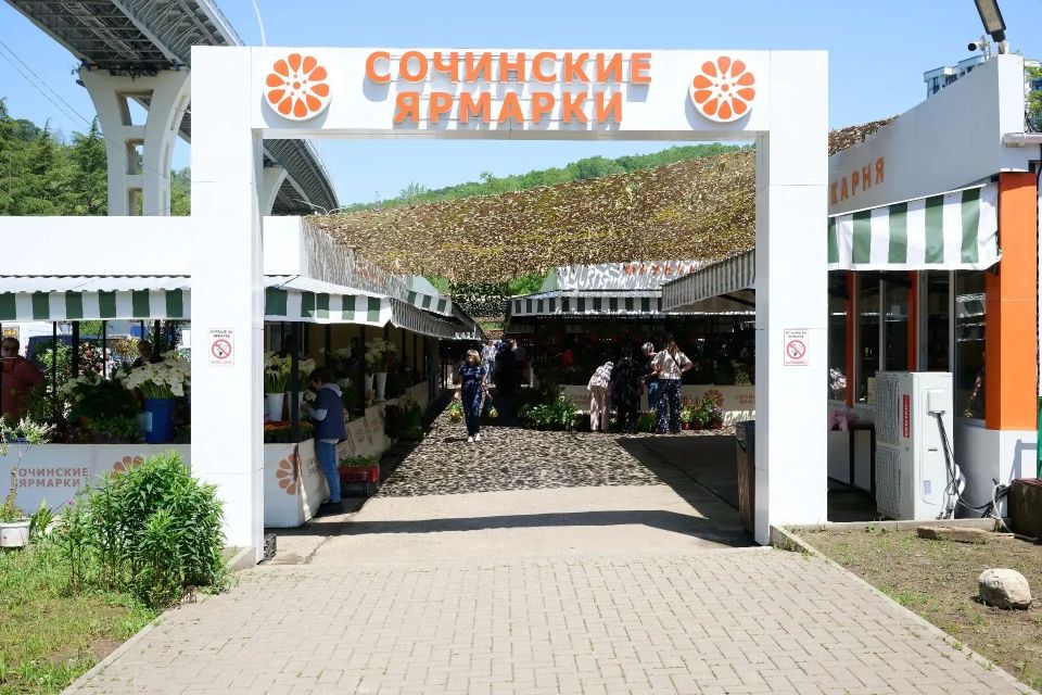 В Сочи летом открываются 1 500 сезонных предприятий общественного питания и торговли, а также новые крупные сетевые рестораны В Сочи летом открываются 1 500 сезонных предприятий общественного питания и торговли, а также новые крупные сетевые рестораны
