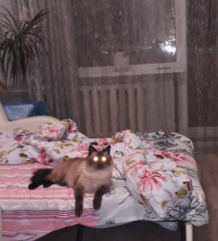 О погоде на Кубани:. Краснодар +26 °С О погоде на Кубани:. Краснодар +26 °С
