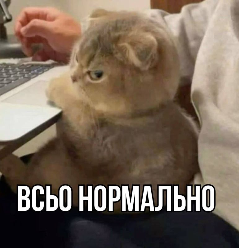 Россиянам отключат интернет во время выборов
