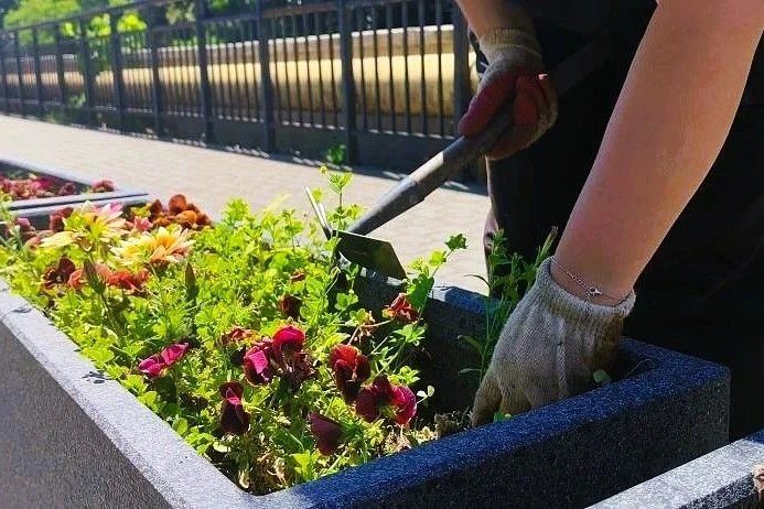 В Лазаревском сейчас вовсю наводят красоту В Лазаревском сейчас вовсю наводят красоту