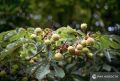 ������� - ������������ ���� ���������� ����������� - ����� ����������� � ����� �������� ���� � ����� ���������� ��������������� �������� ��������� �������