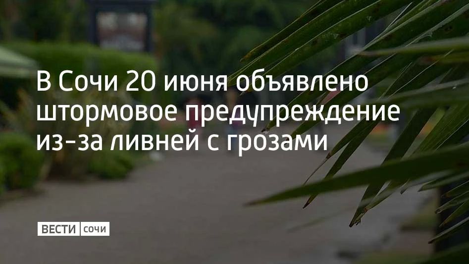 20 июня в Сочи и на федеральной территории Сириус местами ожидаются сильные дожди и ливни с грозами