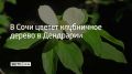 � ��������� ����� "���������" ������ ����� ����������, ��� ���������� ������
