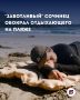 В Лазаревском районе задержали мужчину, который укрыл туриста пледом, а затем обокрал его