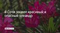 � ���� ���������� �������� �������� ��������