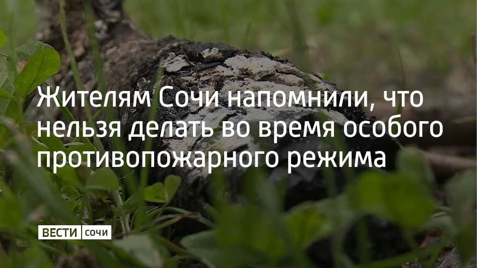 Штрафы от 10 до 20 тысяч рублей грозят тем, кто разводит открытый огонь в Сочи во время действия особого противопожарного режима, напомнили в городской администрации