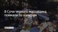 На улице Донской в Центральном районе Сочи камера видеонаблюдения запечатлела, как мужчина сваливает строительный мусор на контейнерной площадке