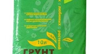 Как правильно пикировать сеянцы земляники: советы и секреты