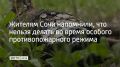 Штрафы от 10 до 20 тысяч рублей грозят тем, кто разводит открытый огонь в Сочи во время действия особого противопожарного режима, напомнили в городской администрации