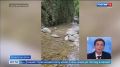 В Лазаревском районе Сочи спасатели вывели из каньона заблудившуюся туристку из Кемерова