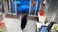 В Сочи задержали похитителя элитного кофе