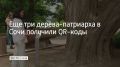 ��� ��� ������-��������� � ���� �������� QR-����