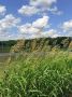 О погоде на 7 июля. В Краснодарском крае переменная облачность