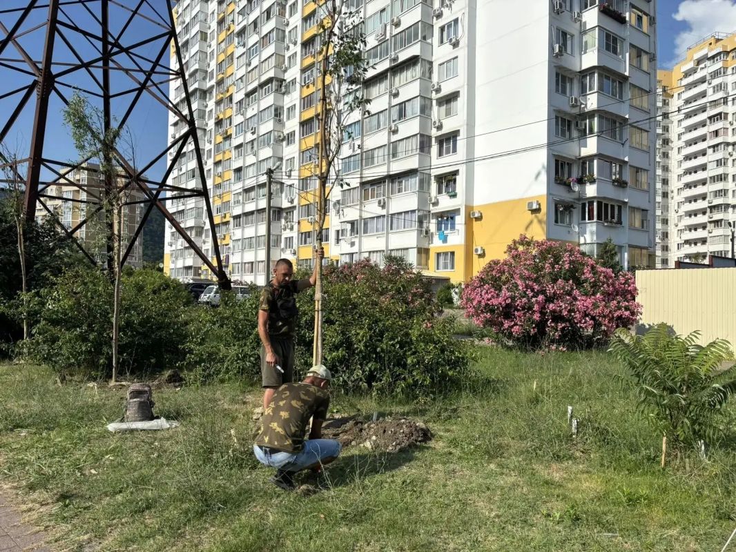 В Лазаревском районе Сочи продолжаются работы по компенсационным посадкам деревьев В Лазаревском районе Сочи продолжаются работы по компенсационным посадкам деревьев