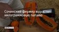 � ����������������� ������� � ���� ������� ������� ������ ����������� ������ ����� ���� ������ ����������, ���������� � ��� "100 ������"