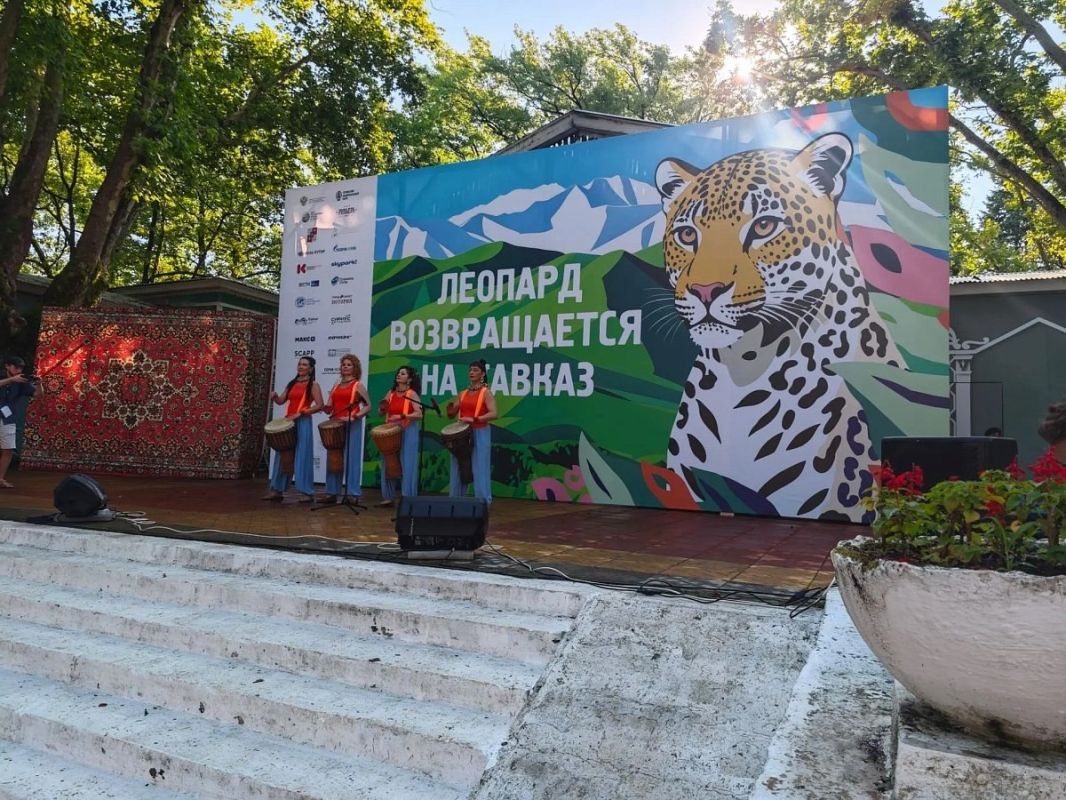 В Сочи фестиваль леопарда собрал сотни жителей и гостей курорта В Сочи фестиваль леопарда собрал сотни жителей и гостей курорта