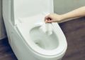 Что не стоит сбрасывать в унитаз: методы борьбы с опасными отходами