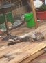Доброе утро, Кубань!. Краснодар +33 °С