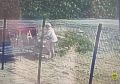 На пляже в Сочи местная жительница лишилась рубашки с деньгами
