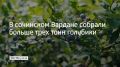 � ��������� ������� ������� ������������ ������ ���� ������� ����� ���� ���� �������� � 2026 ���� � ��� �� 50% ������, ��� � �������, �������� � ������������� ������
