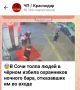 Сотрудники уголовного розыска УВД по городу Сочи задержали 26-летнего местного жителя, который стал инициатором конфликта рядом с одним из развлекательных заведений города-курорта
