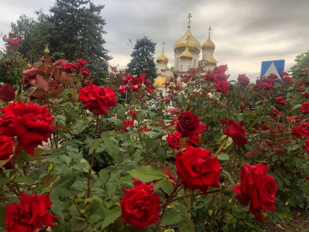 О погоде на 27 июля. В Краснодарском крае солнечно О погоде на 27 июля. В Краснодарском крае солнечно