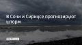 �� ��������� ����������, �� ������ �������� ��� � ������� 29 ���� � ��������� ������� ����� ���� �����