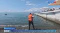 В Сочи прошли занятия для матросов-спасателей