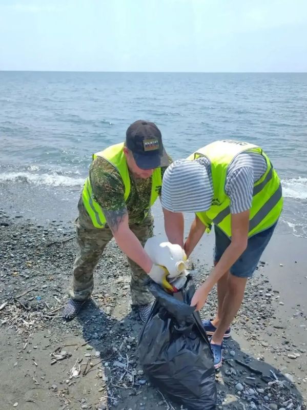В Сочи ежедневно ведется мониторинг береговой полосы, в том числе и на основании сообщений от граждан В Сочи ежедневно ведется мониторинг береговой полосы, в том числе и на основании сообщений от граждан