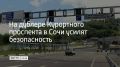 Обустроить барьерное ограждение перед всеми въездами в тоннели на дублере Курортного проспекта решили на внеочередном заседании комиссии по безопасности дорожного движения